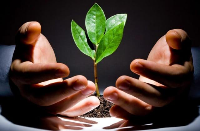 Must-Have Tools for Successful Venture Capital Investing